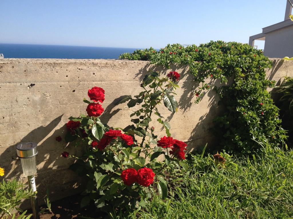 מלון אולסינץ' Casa Hena מראה חיצוני תמונה
